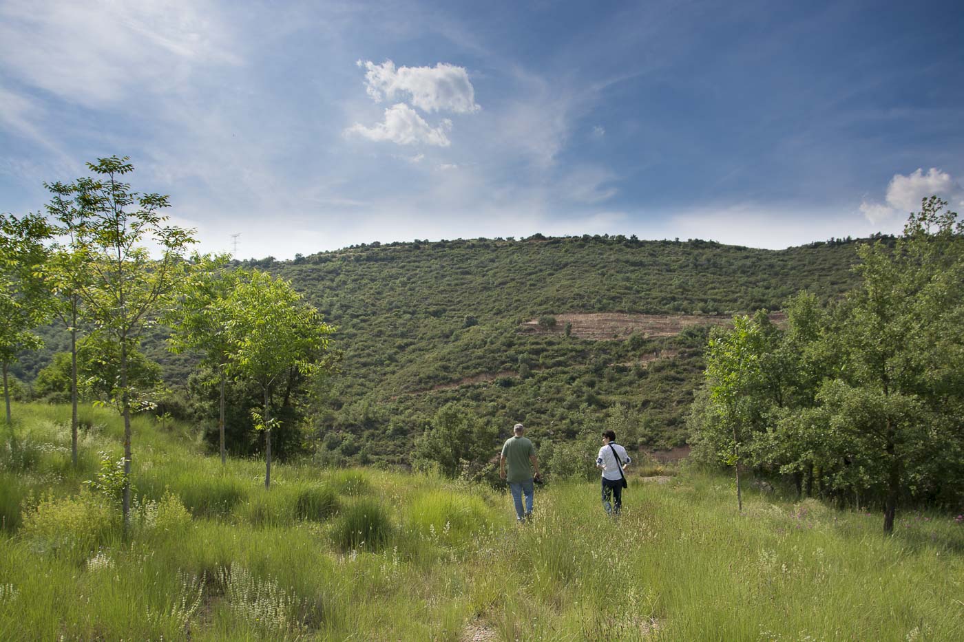 Nuestro equipo inspeccionó los terrenos de la propiedad en junio de 2016